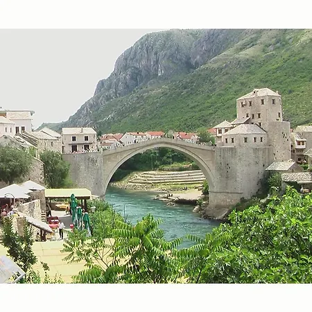 House Dalmatia *
