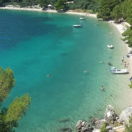 House Dalmatia *