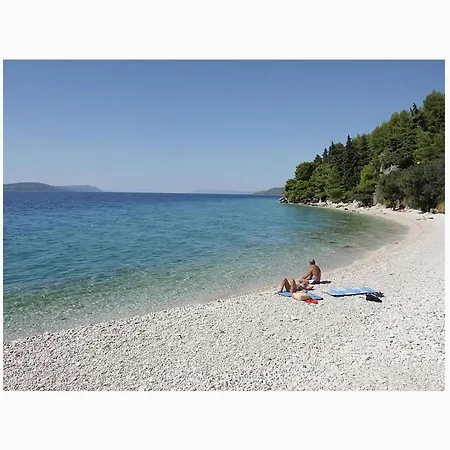 House Dalmatia Appartement *